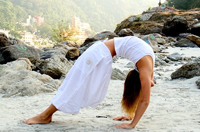 Brief Overview 300 HTT